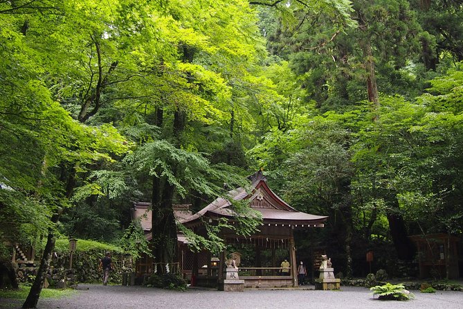 1 Day Hiking Tour in the Mountains of Kyoto