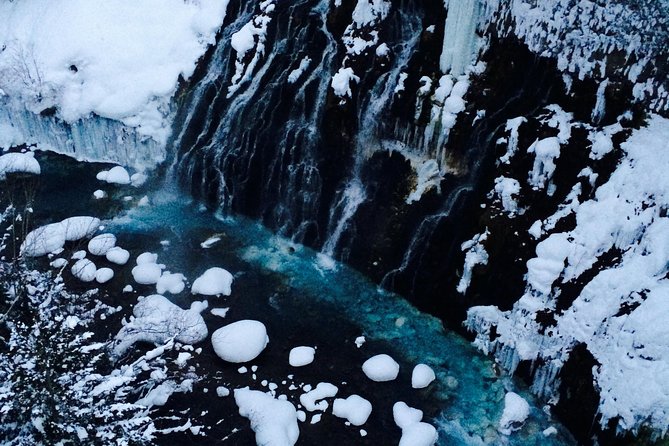 Asahiyama Zoo, Blue Pond, Shirahige Falls, Ningle Terrace (from Sapporo)