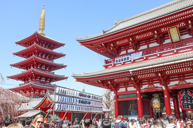 Asakusa Cultural Walk & Matcha Making Tour