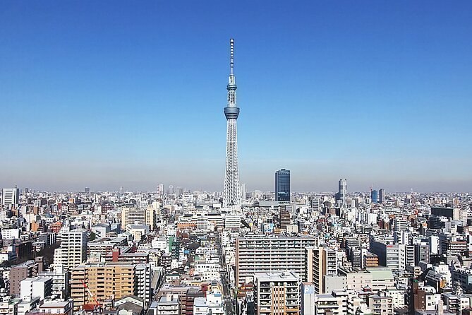 Day Private City Tour of Tokyo With English Speaking Driver