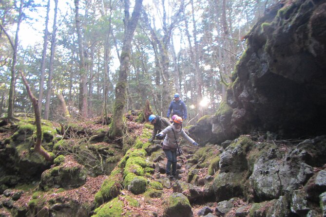 Exploring Mt Fuji Ice Cave and Sea of Trees Forest