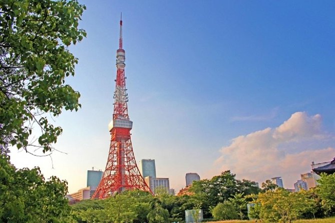 Freely Set up Plans Guided Private Tours in Tokyo