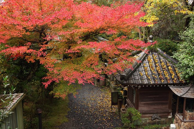 Kimono and Authentic Tea Ceremony in Miyajima