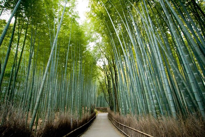 Kyoto Arashiyama & Sagano Bamboo Private Tour With Government-Licensed Guide