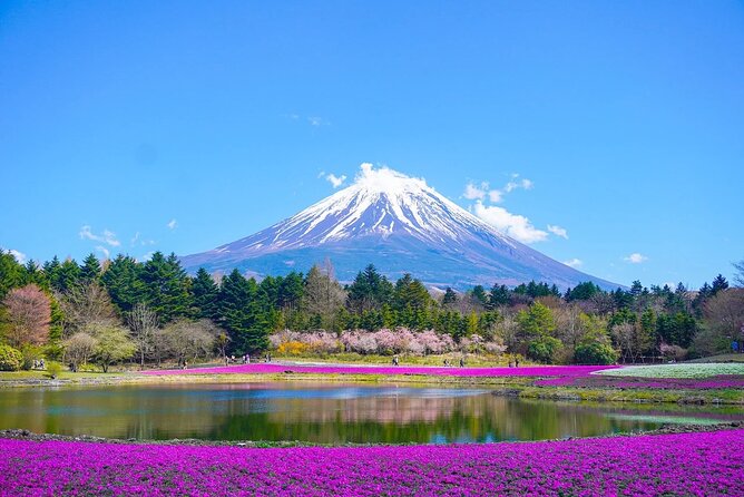 Mt Fuji :1-Day Private Tour With English-Speaking Driver