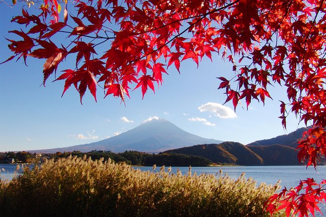 Mt. Fuji 5th Station and Kawaguchiko Day Tour From Tokyo