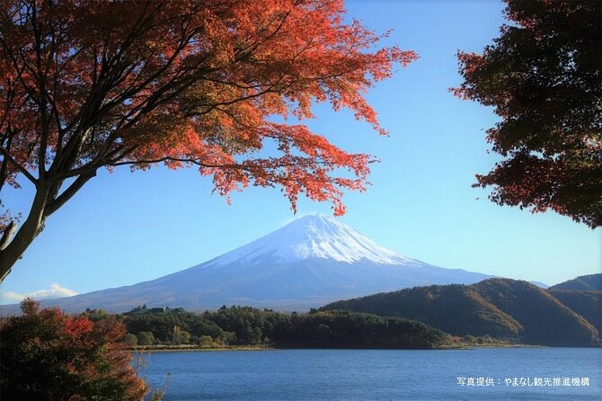 Mt. Fuji Highlights Full-Day Tour With Lunch From Tokyo