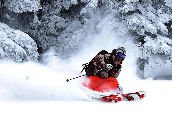 Nagano Guided Ski Trip, With Snow Monkeys Visit