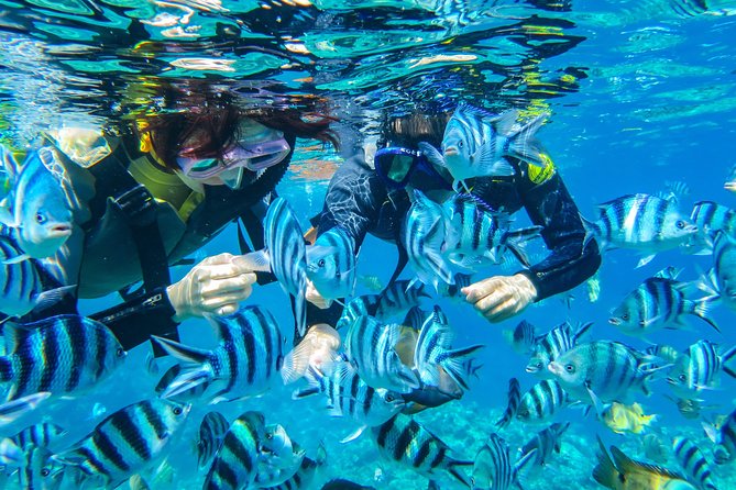 [Okinawa Blue Cave] Snorkeling and Easy Boat Holding! Private System Very Satisfied With the Beautif