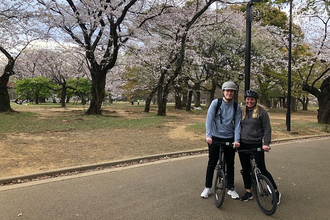 Private Half-Day Cycle Tour of Central Tokyo