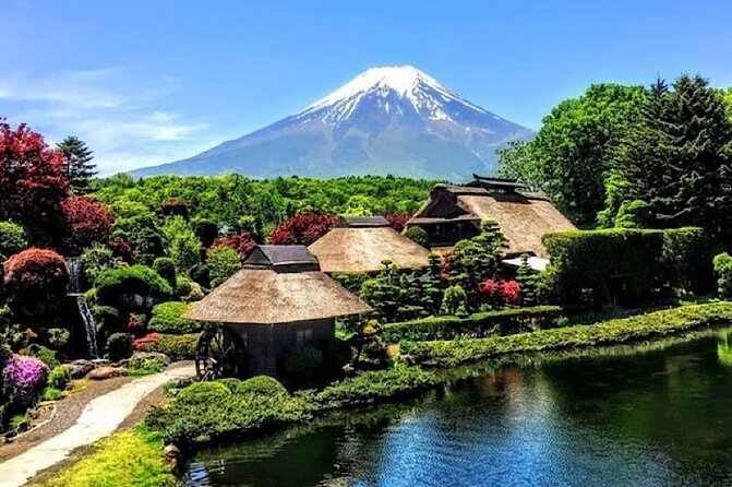 Private Mount Fuji and Hakone Sightseeing Day Trip With Guide