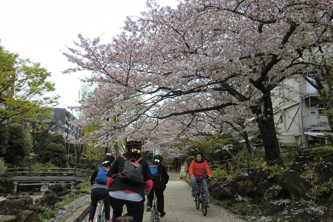 Tokyo by Bike: Skytree, Kiyosumi Garden and Sumo Stadium