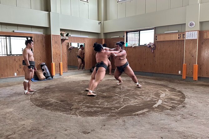 Tokyo Half-Day Sumo Wrestling Practice and Lunch Experience