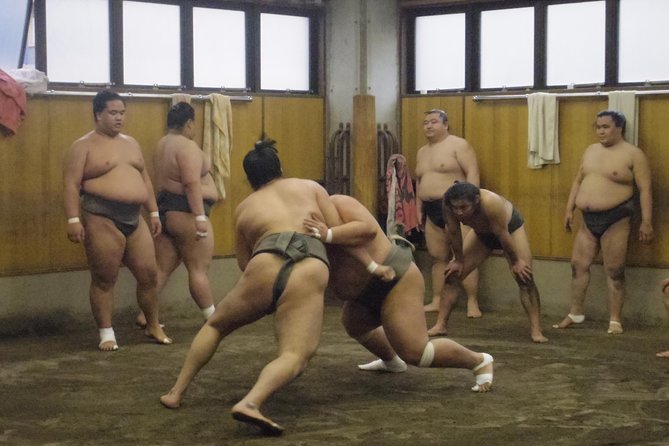 Tokyo Sumo Morning Practice Tour at Stable