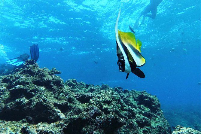 Two-Hour Group Snorkeling Trip to the Blue Cave  – Onna-son