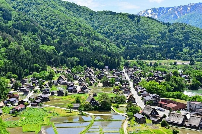 Departing From Takayama [Regular Sightseeing Bus] World Heritage Sites Shirakawago and Gokayama Ainokura - Experience Highlights and Reviews