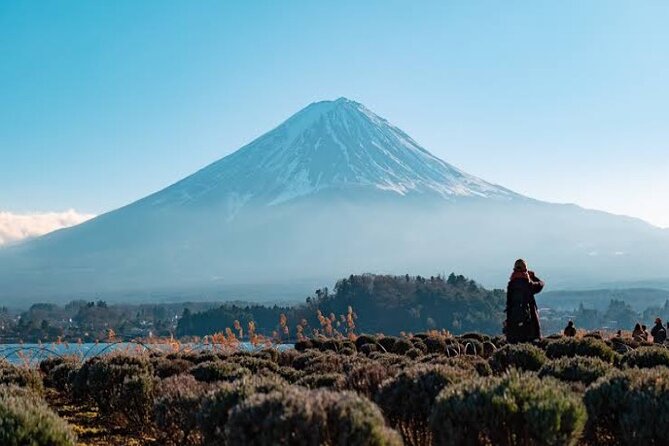 Full Day Private Tour With English Speaking Driver in Mount Fuji - Policies and Important Notes