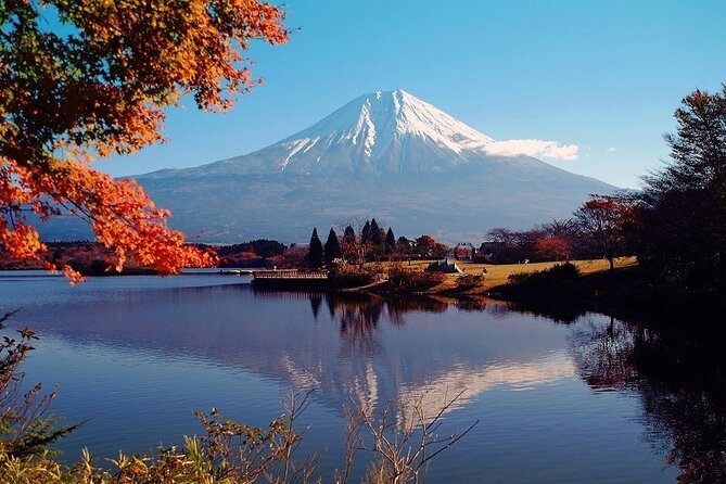 Hakone 6 Hour Private Tour With Government-Licensed Guide - Logistics and Transportation