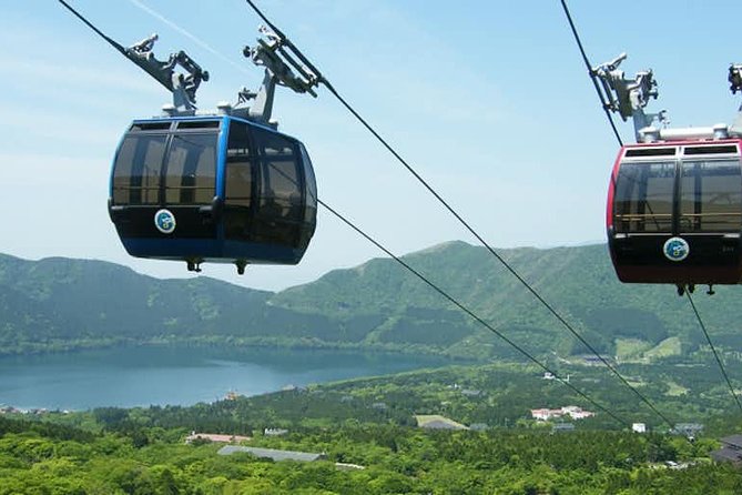 Hakone 8 Hour Private Tour With Government-Licensed Guide - Customizing Your Hakone Adventure