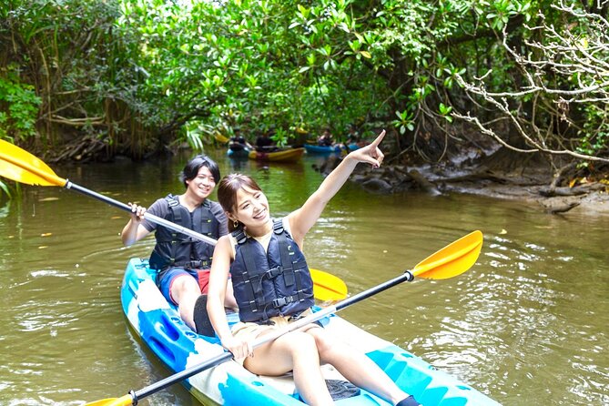 Iriomote Sup/Canoe in a World Heritage&Limestone Cave Exploration - Important Health and Safety Notes