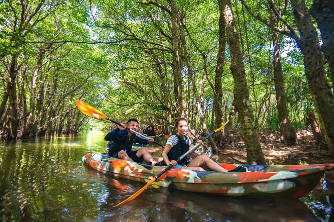 [Iriomote] SUP/Canoe Tour: Sightseeing on Yubujima Island - Tour Highlights and Activities