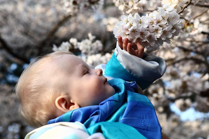 Kanazawa Private Half Day Photoshoot by Professional Photographer - Location Highlights