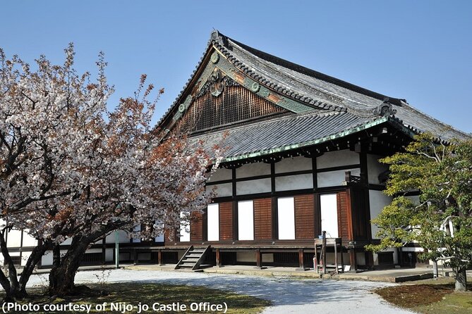 Kyoto and Nara 1 Day Trip - Golden Pavilion & Todaiji From Osaka - The Guided Tour Experience