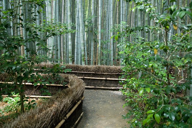 Kyoto Bamboo Forest Electric Bike Tour - Exploring Kyotos Hidden Gems