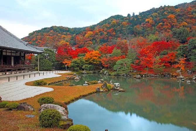 Kyoto Sagano Bamboo Grove & Arashiyama Walking Tour - Traveler Reviews and Ratings