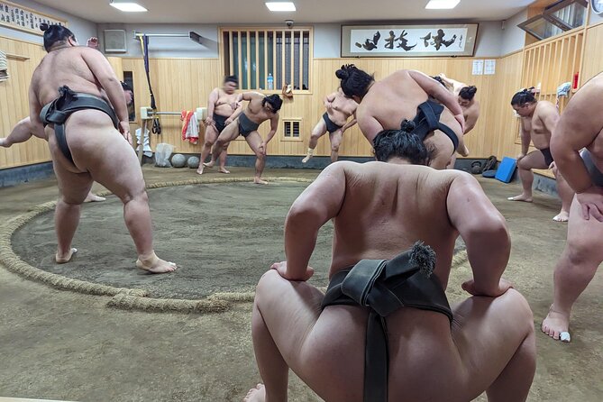 Morning Sumo Practice Viewing in Tokyo - Behind the Scenes Experience