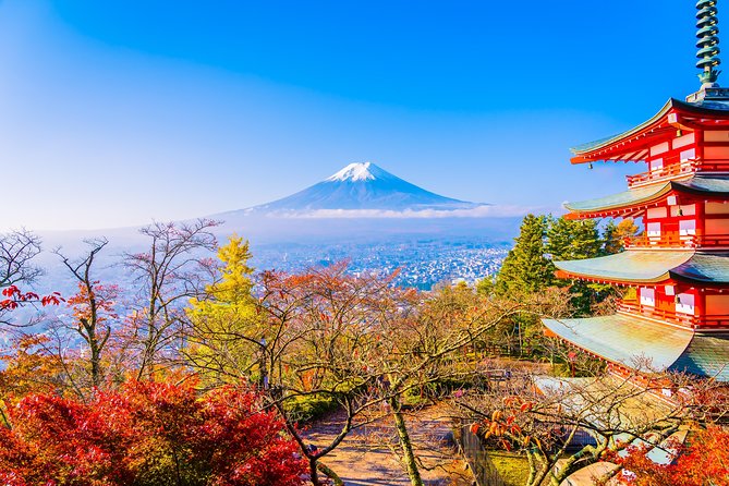 Mount Fuji Area Private Muslim–Friendly Tour From Tokyo - Cancellation and Refund Policy