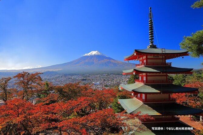 Mt. Fuji Highlights Full-Day Tour With Lunch From Tokyo - What to Expect on Tour