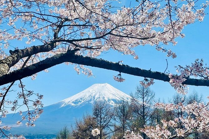 Mt. Fuji & Lake Kawaguchiko Private 1 Day Tour With Pick & Drop - Mt. Fuji and Lake Kawaguchiko Experience