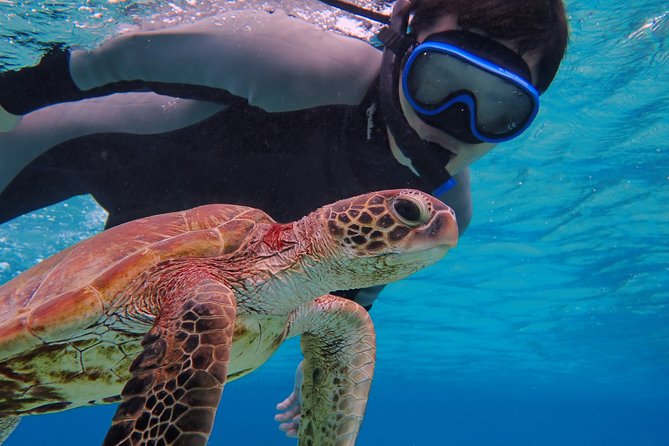 [Okinawa Miyako] [1 Day] Pumpkin Limestone Caving & Sea Turtle Snorkeling - Cancellation Policy