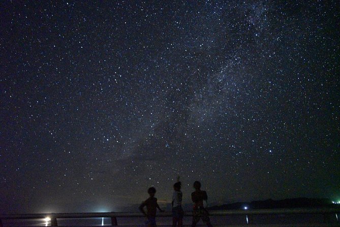 [Okinawa Miyako] Natural Planetarium! Starry Sky & Subtropical Jungle Night Tour - Weather Conditions and Cancellations