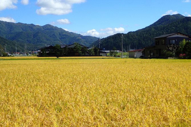 Private Afternoon Cycling Tour in Hida-Furukawa - What to Expect on Tour