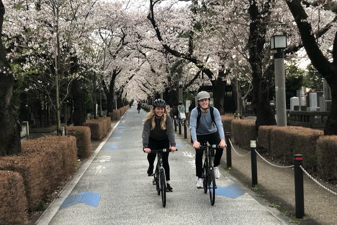 Private Half-Day Cycle Tour of Central Tokyo - Explore Central Tokyo by Bike