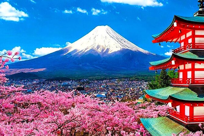 Private Mount Fuji and Hakone Sightseeing Day Trip With Guide - Pick-up and Drop-off Information