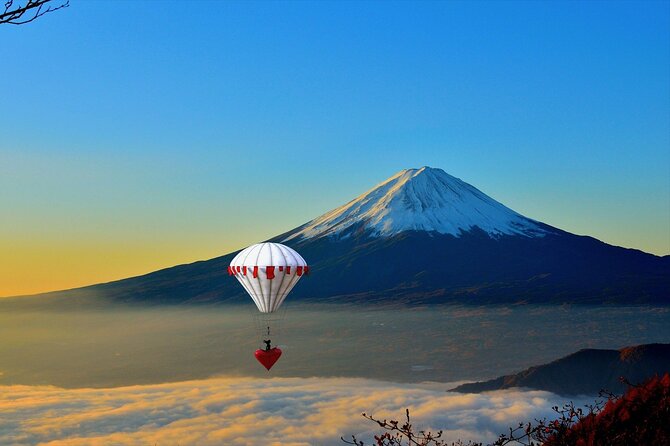 Private Mount Fuji Tour With English Speaking Chauffeur - Flexible Itinerary and Logistics