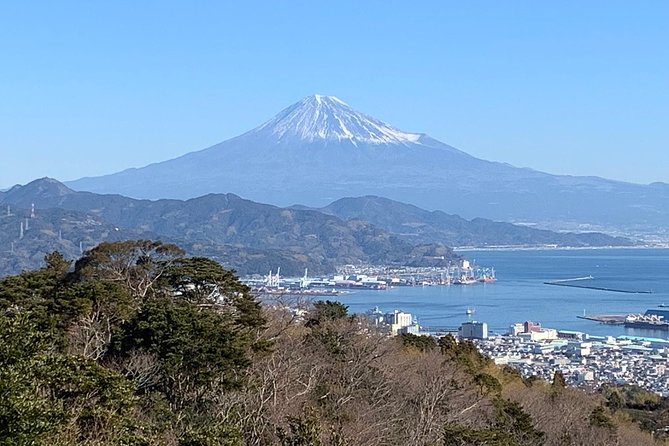 Sightseeing Around Shimizu Port for Cruise Ship Passengers - Essential Information and Logistics