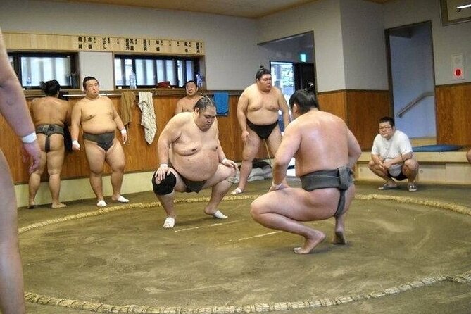 Sumo Morning Practice Tour in Tokyo, Sumida City - What to Expect on Tour