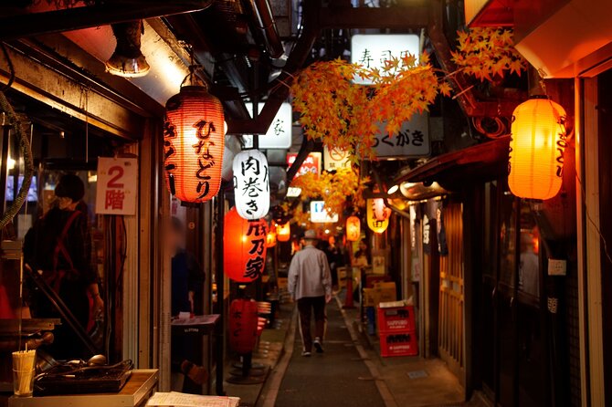 The Dark Side of Tokyo - Night Walking Tour Shinjuku Kabukicho - What to Expect on the Tour