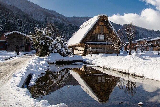 1 Day Private Charter Tour to Takayama & Shirakawago - Reviews and Ratings Overview