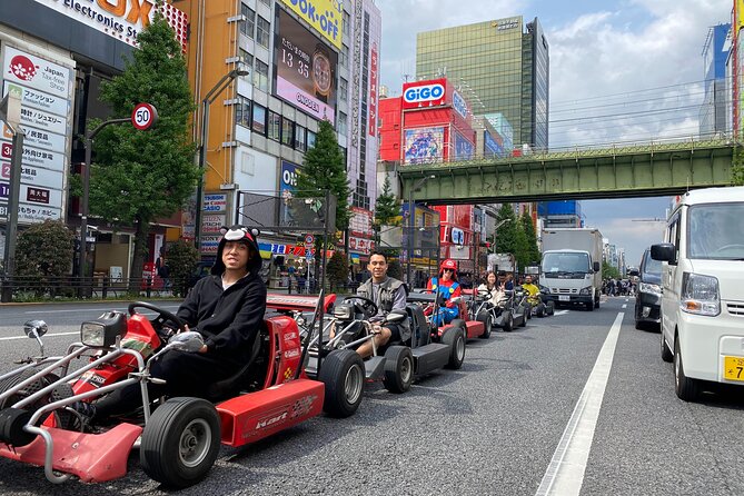 Akihabara: Go-Kart Experience With Local Guide in Tokyo - Go-Karting Through Tokyo Streets