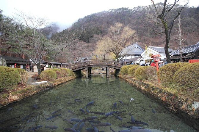 Chartered Private Tour - Tokyo to Nikko, Toshogu, Edo Wonderland - Guide Quality and Support