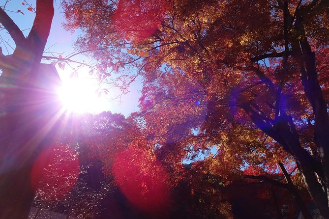 Full Day Hiking Tour at Mt.Takao Including Hot Spring - Relaxation at the Hot Spring Onsen