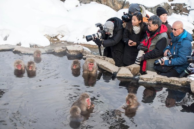 Full-Day Private Nagano Tour: Zenkoji Temple, Obuse, Jigokudani Monkey Park - Cultural Immersion Activities