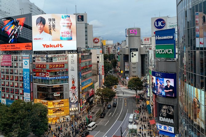 Highlights & Hidden Gems of the Shibuya District Private Tour - Expert Guides Share City Secrets