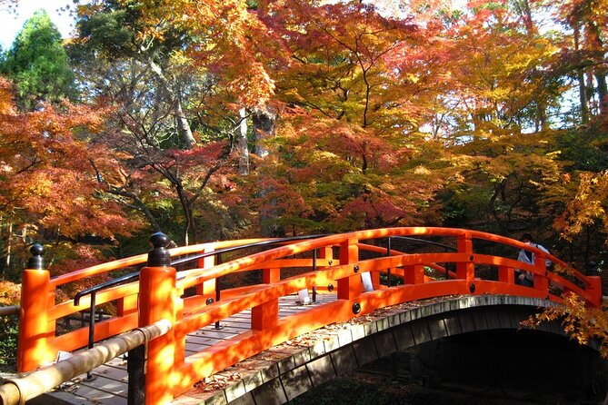 Historical Kyoto Bike Tour - Meeting and Pickup Information