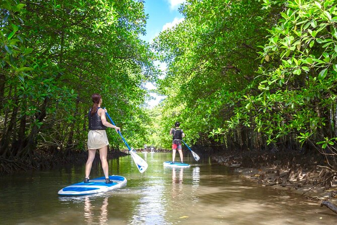 Iriomote Island Canoe/Sup Tour in a World Heritage Site - Meeting and Pickup Details